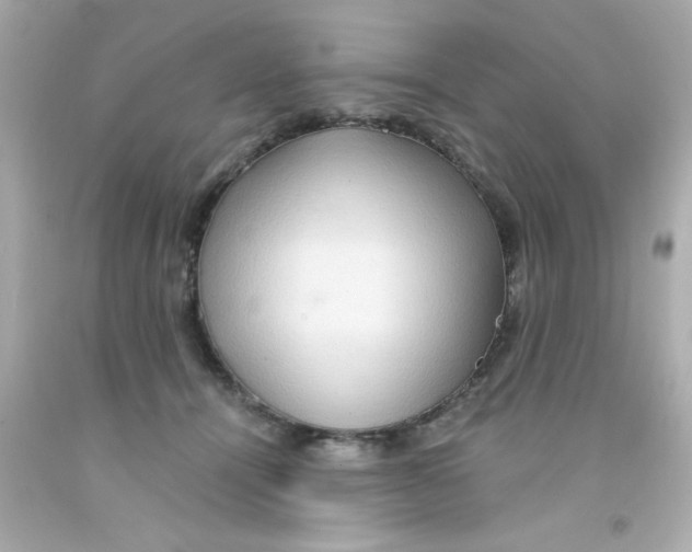 X0000093110464200710241245