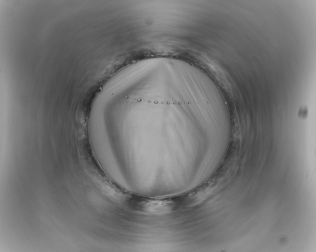 X0000093110465200710241245