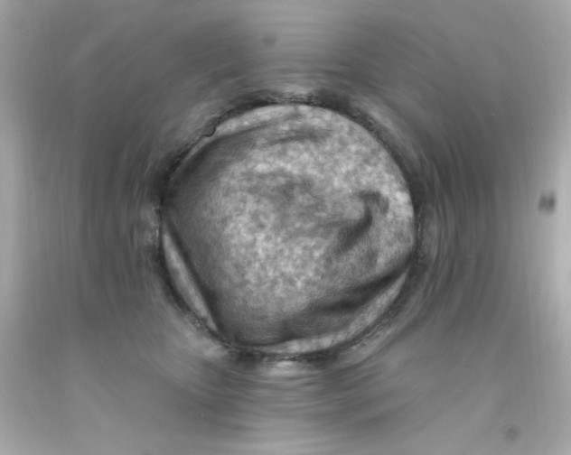 X0000093110467200710241245