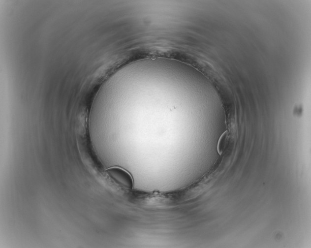 X0000093110468200710241245