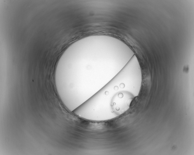 X0000093110469200710241245