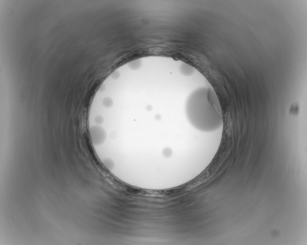 X0000093110471200710241246