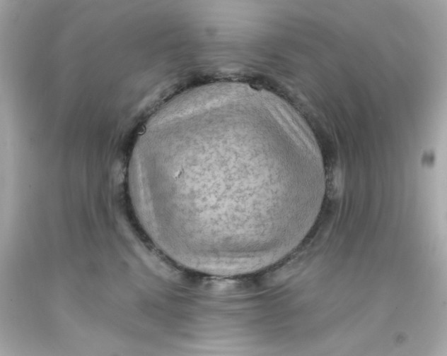 X0000093110472200710241246