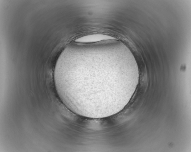 X0000093110473200710241246