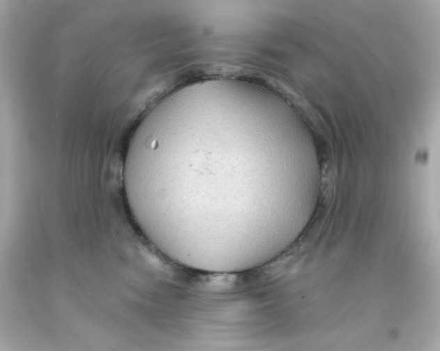 X0000093110474200710241246