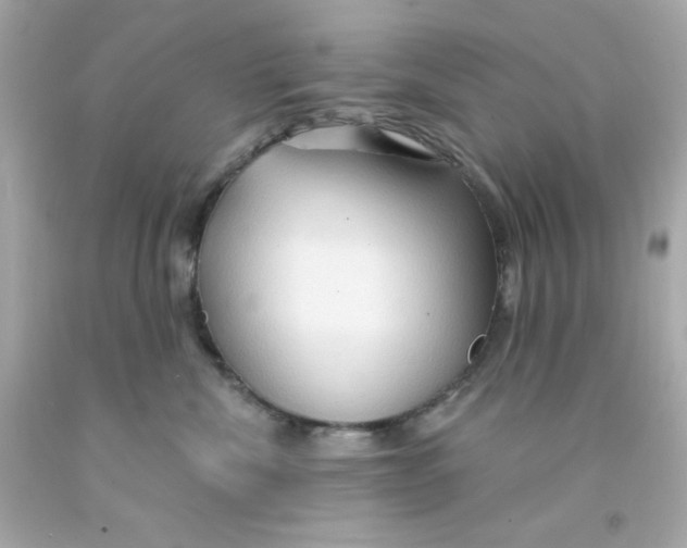 X0000093110476200710241246