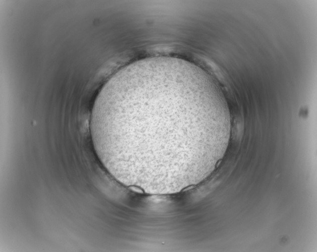 X0000093110477200710241246