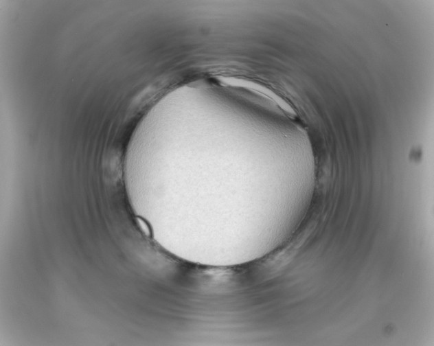 X0000093110478200710241246