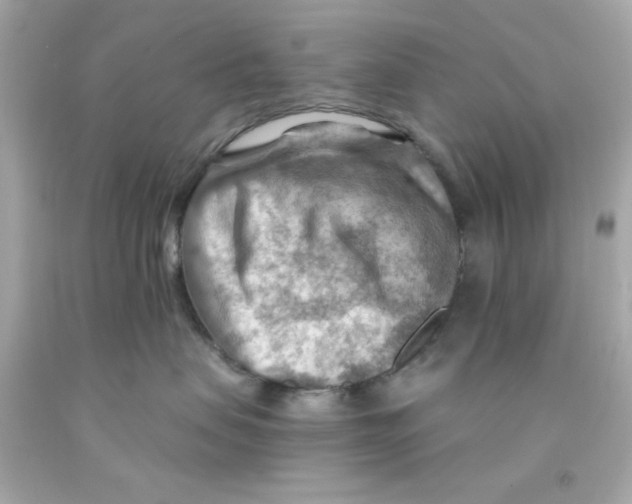 X0000093110479200710241246