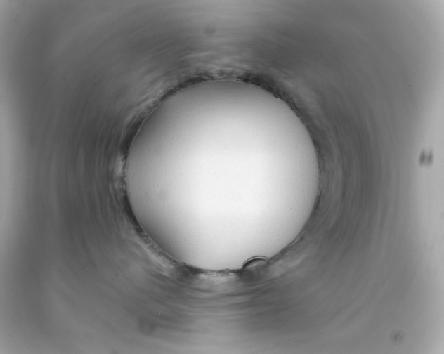 X0000093110480200710241246