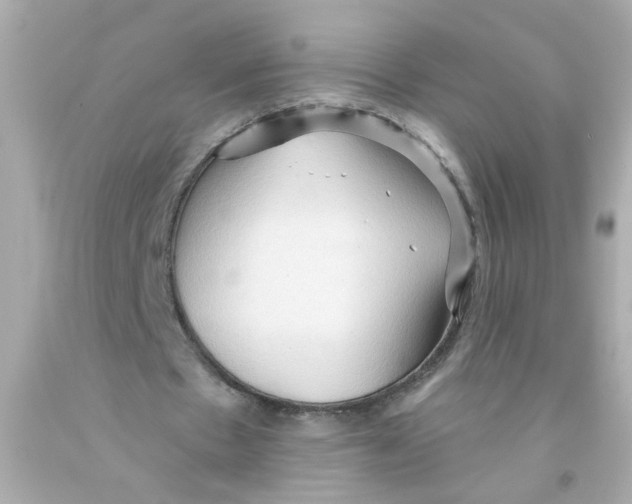 X0000093110481200710241245