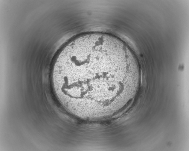 X0000093110483200710241245