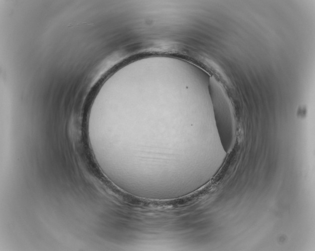 X0000093110484200710241245