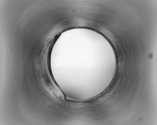 X0000093110485200710241245