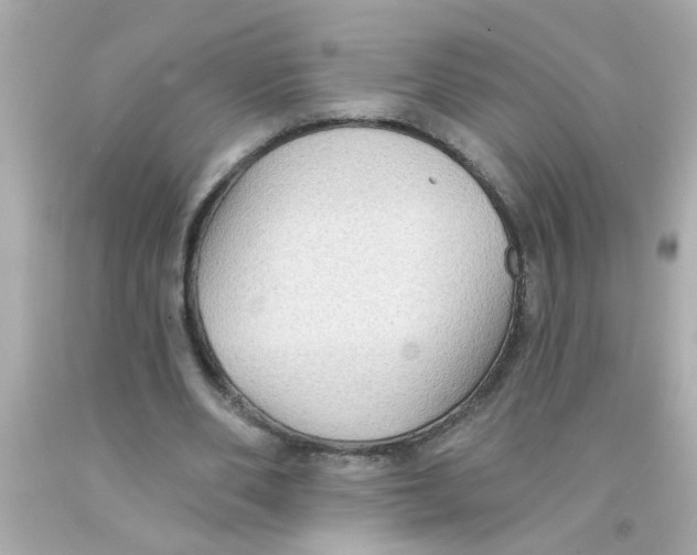 X0000093110486200710241245