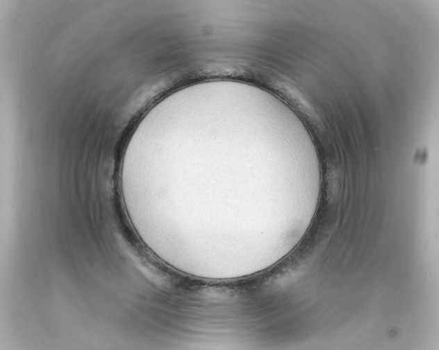 X0000093110490200710241245