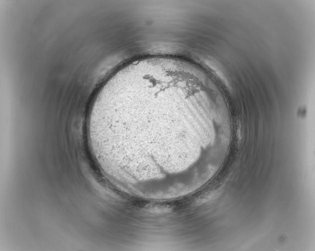 X0000093110491200710241245