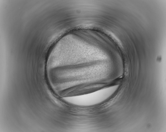 X0000093110493200710241245