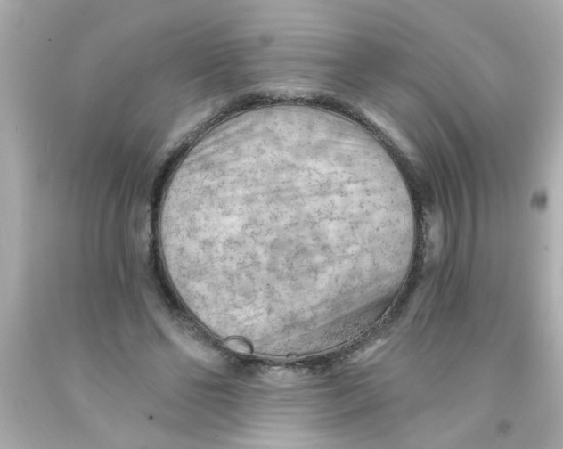 X0000093110494200710241245