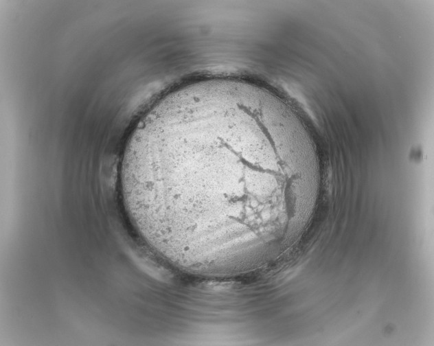 X0000093110495200710241245