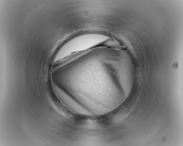 X0000093110496200710241245