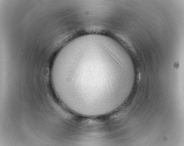 X0000093110498200710241245