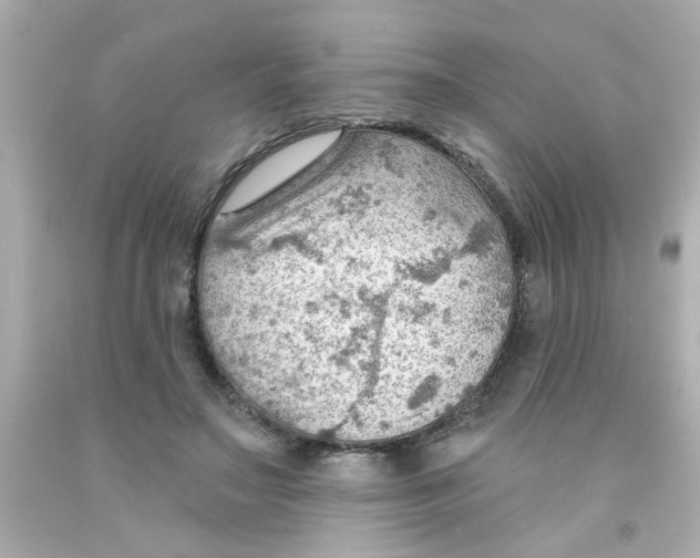 X0000093110499200710241245