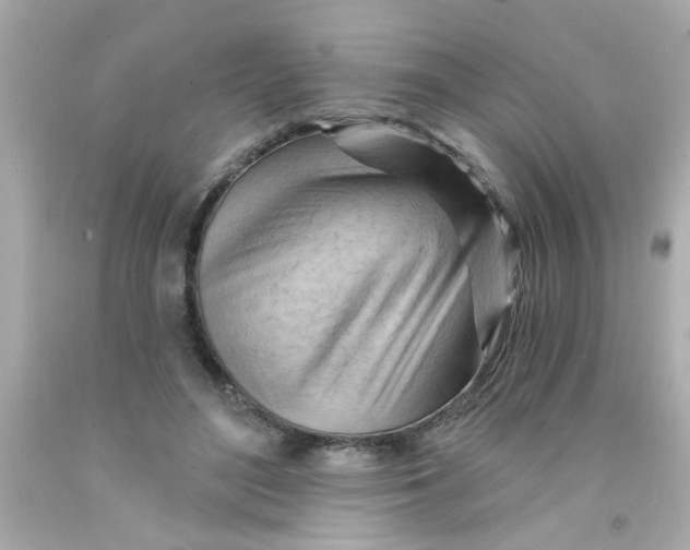 X0000093110500200710241245