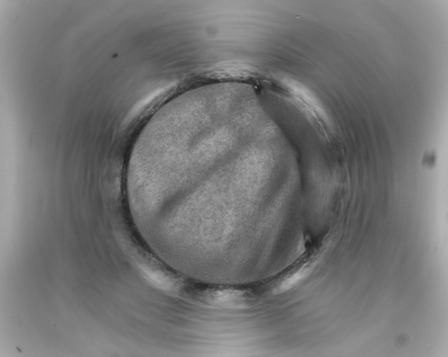 X0000093110501200710241245