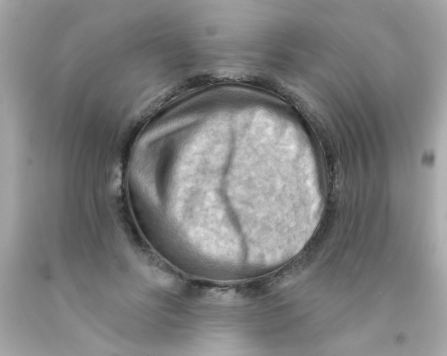 X0000093110502200710241245