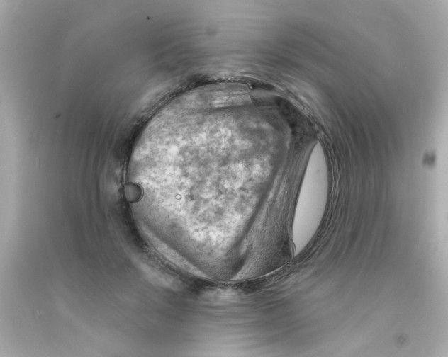 X0000093110503200710241245