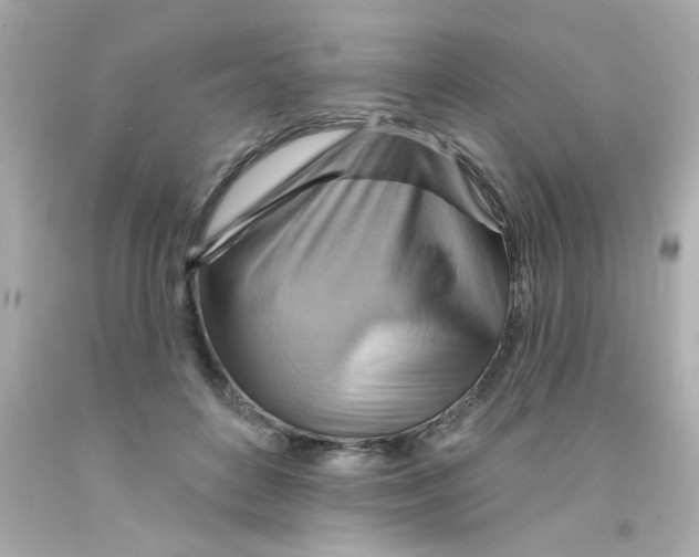 X0000093110504200710241245