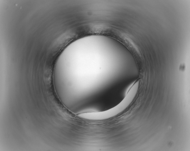 X0000093110505200710241245