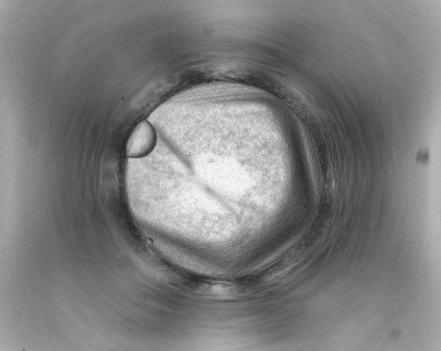 X0000093110506200710241245