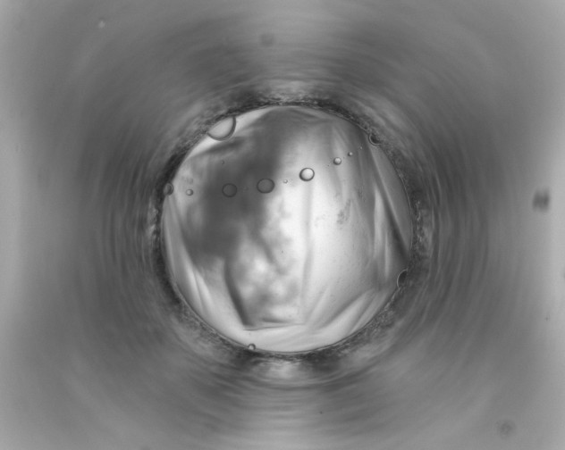 X0000093110507200710241245