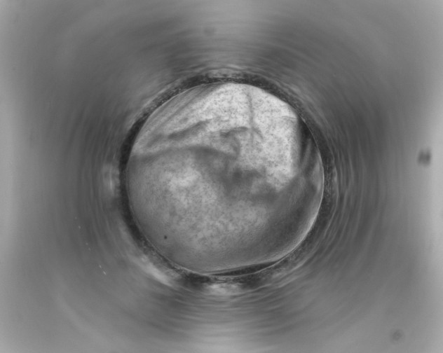 X0000093110508200710241245