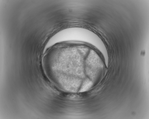 X0000093110512200710241245