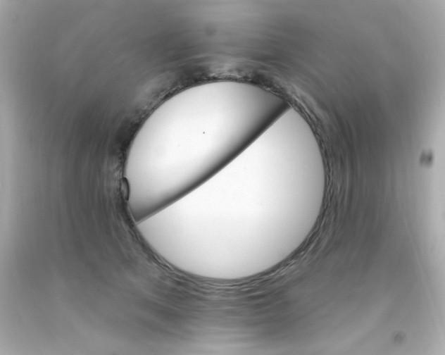 X0000093110513200710241245