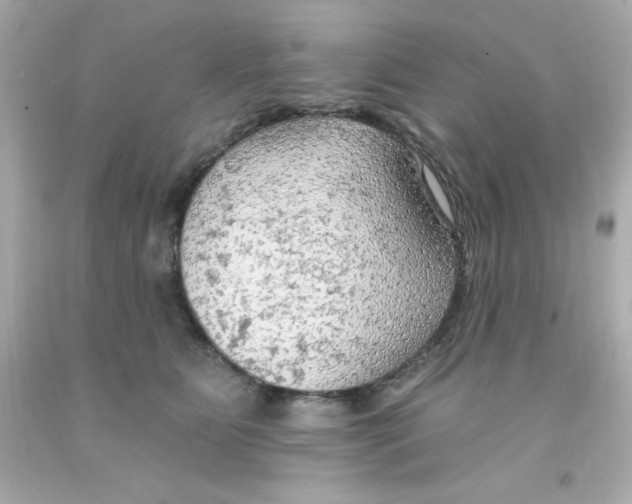 X0000093110515200710241245