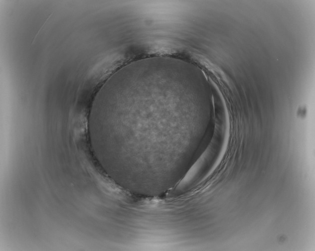 X0000093110517200710241245