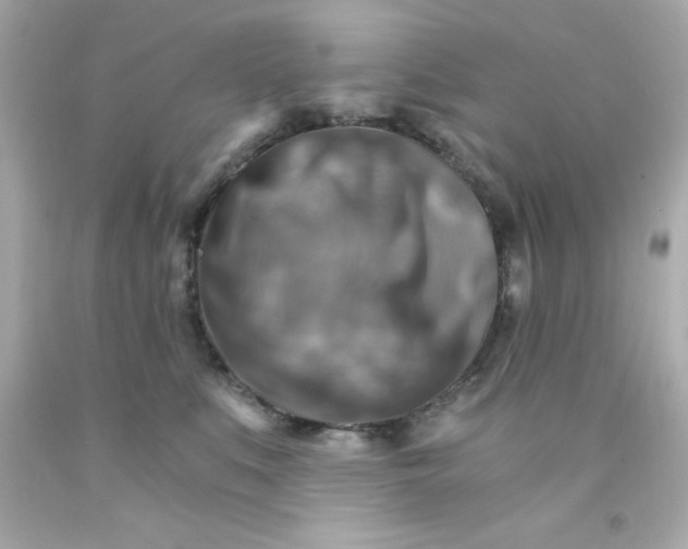 X0000093110519200710241245