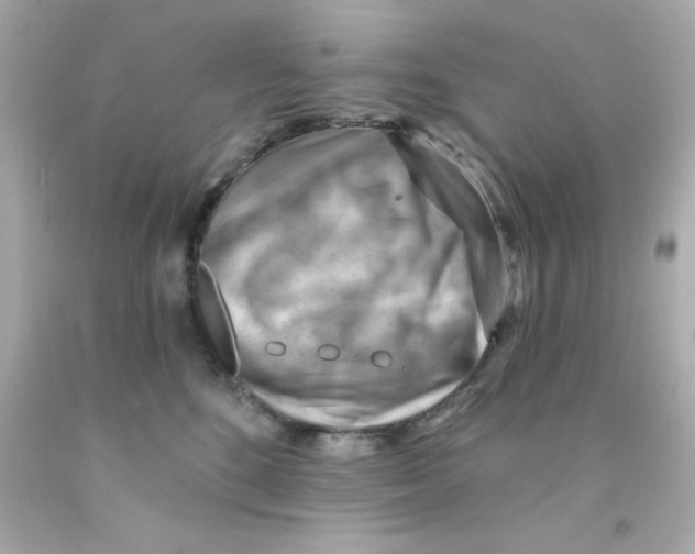 X0000093110520200710241245