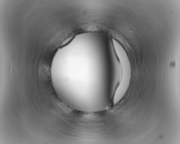 X0000093110521200710241245