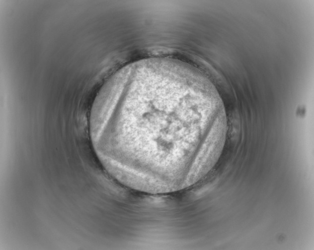 X0000093110523200710241244