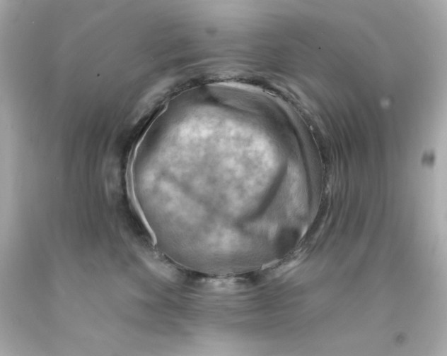 X0000093110524200710241244