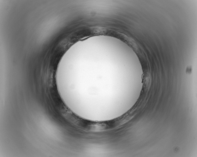 X0000093110525200710241244