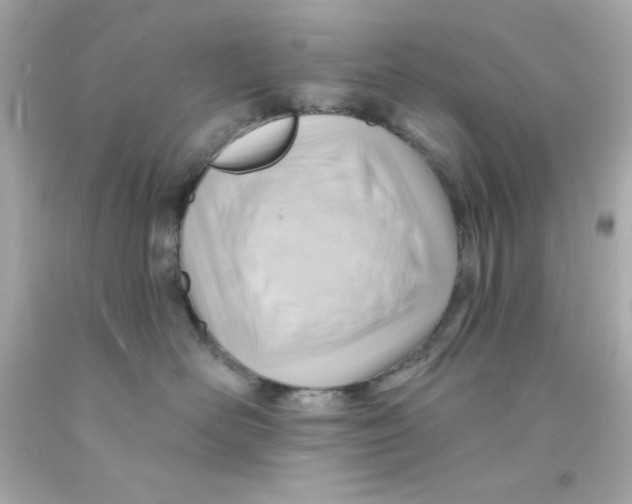 X0000093110526200710241244