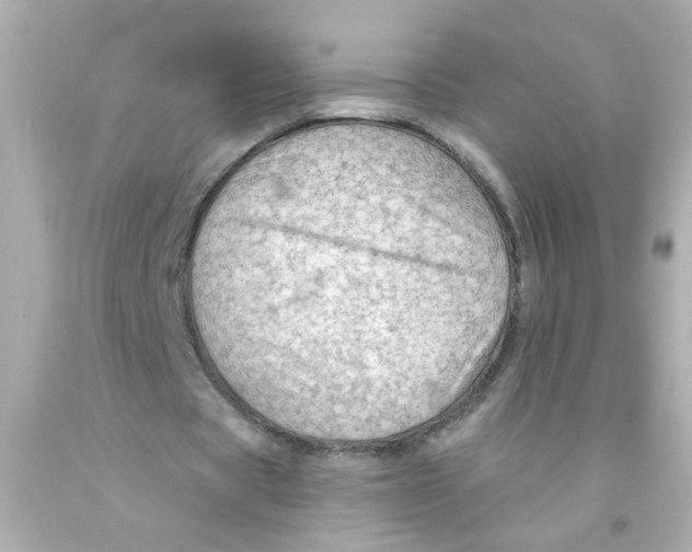 X0000093110529200710241244