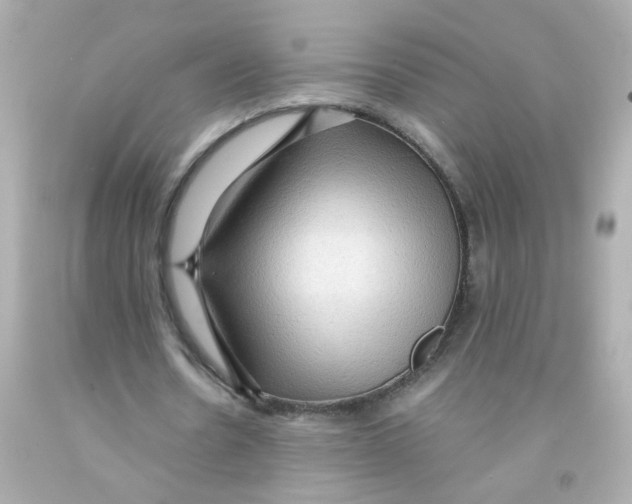 X0000093110530200710241244