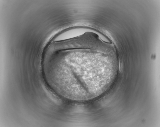 X0000093110531200710241244